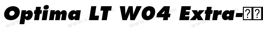 Optima LT W04 Extra字体转换